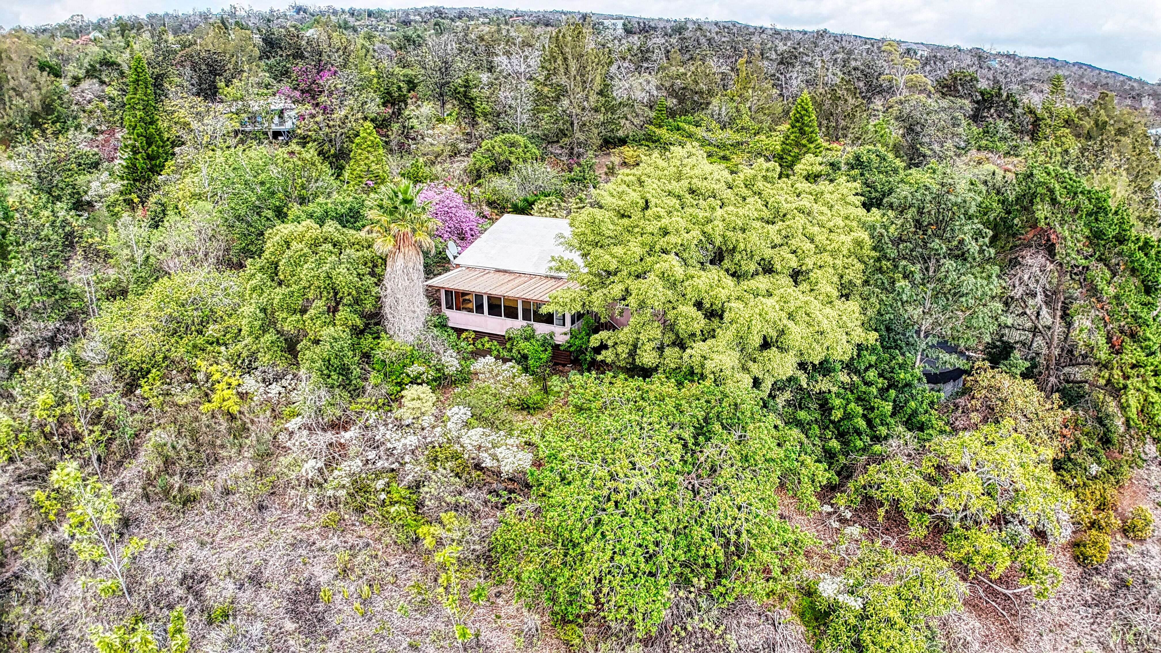 Ocean View, HI 96737,92-8233 REEF PKWY