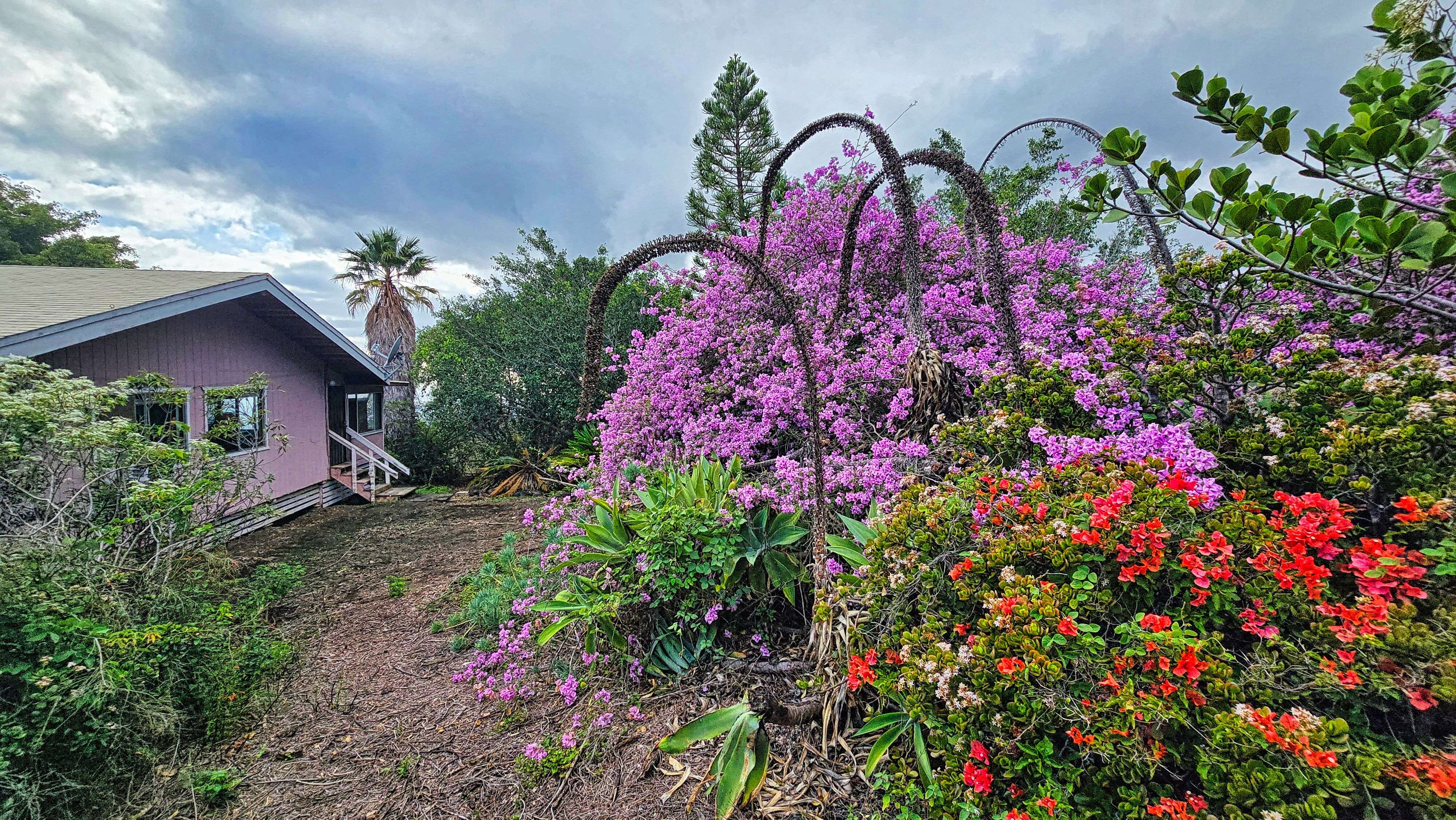 Ocean View, HI 96737,92-8233 REEF PKWY