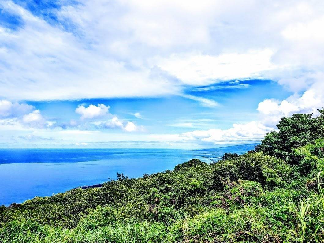 Captain Cook, HI 96704,KUKUI O PAE PL