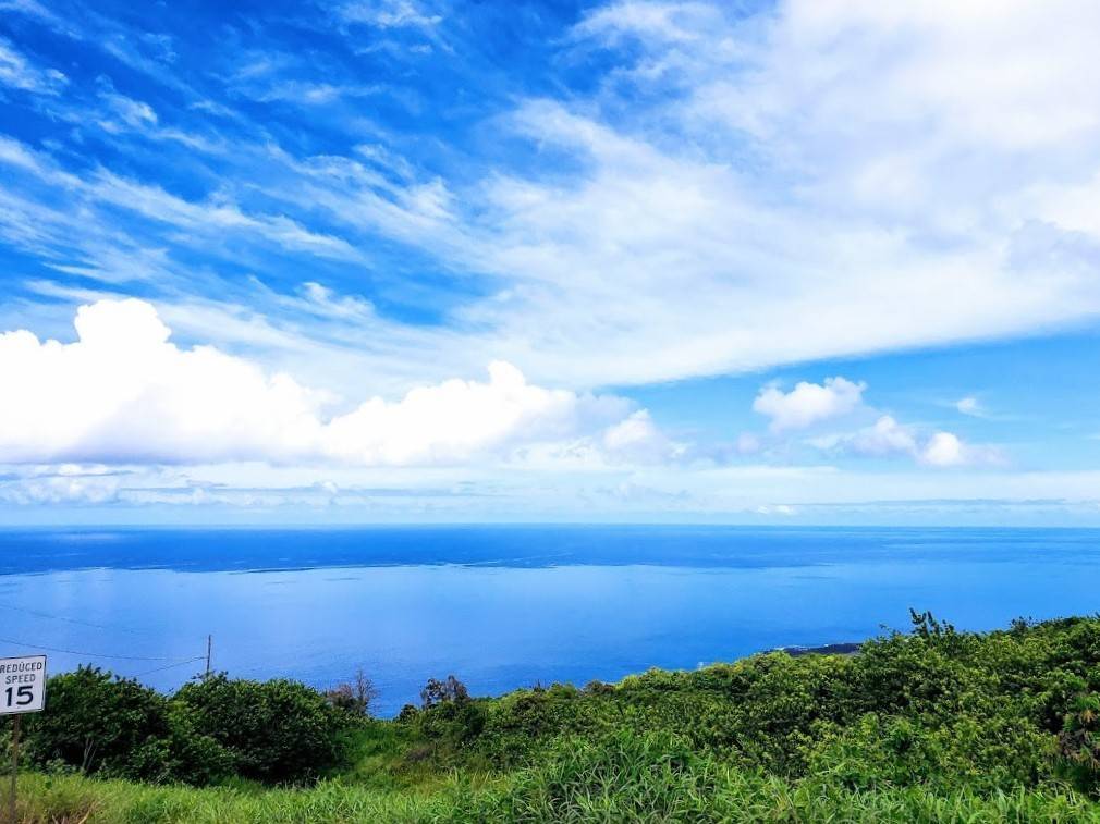 Captain Cook, HI 96704,KUKUI O PAE PL