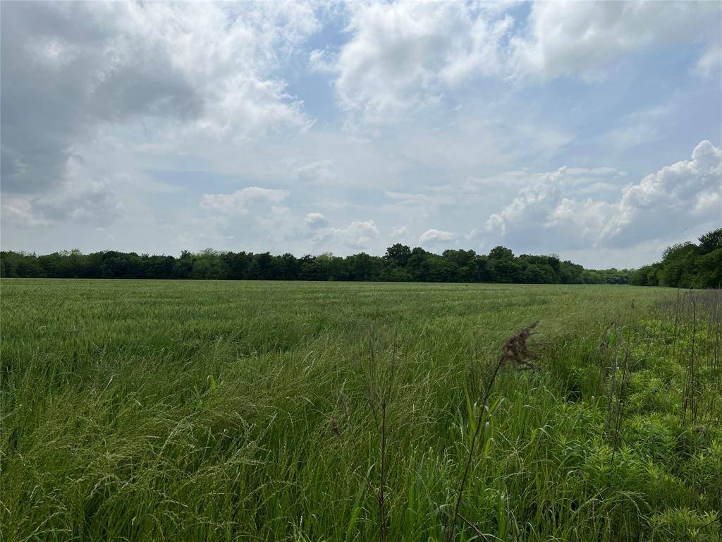 Arthur City, TX 75411,TBD CR 36980