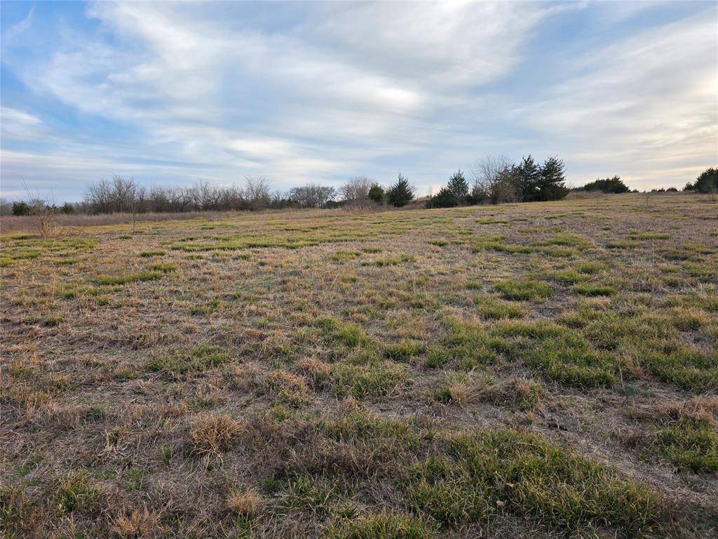 Roxton, TX 75415,Lot 26 County Road 26050