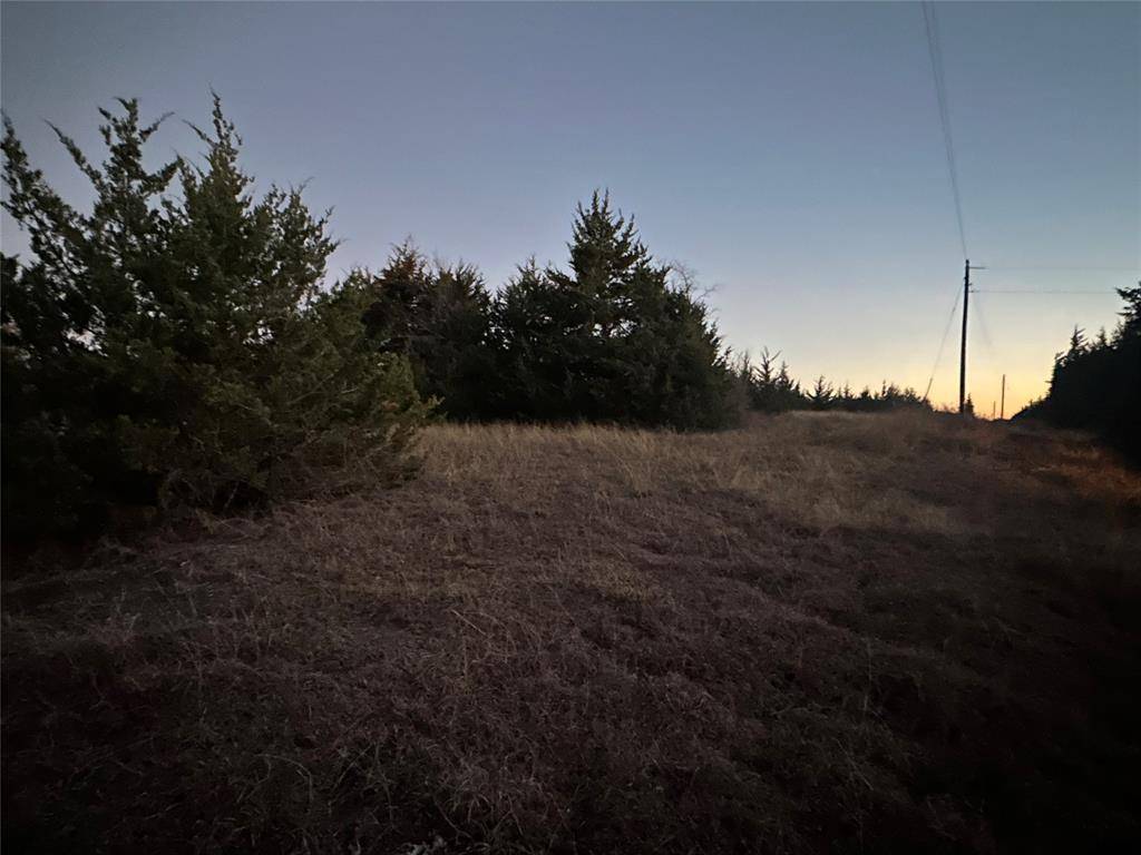 Roxton, TX 75415,Lot 26 County Road 26050