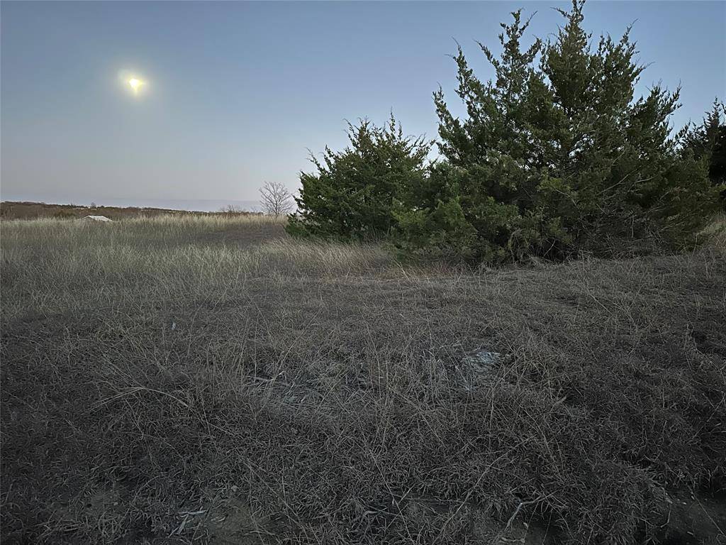 Roxton, TX 75415,Lot 26 County Road 26050