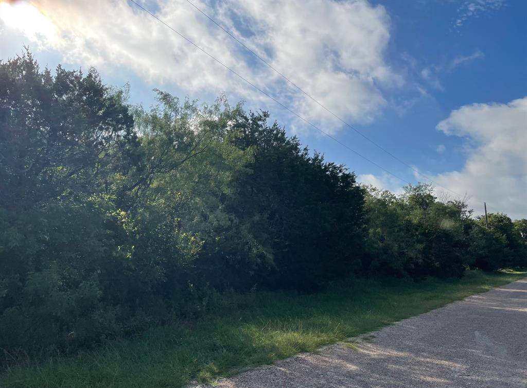 Whitney, TX 76692,12028 Shady Creek & Trailwood Dr Drive