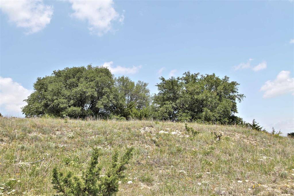 Glen Rose, TX 76043,1102 Bluffview Ct