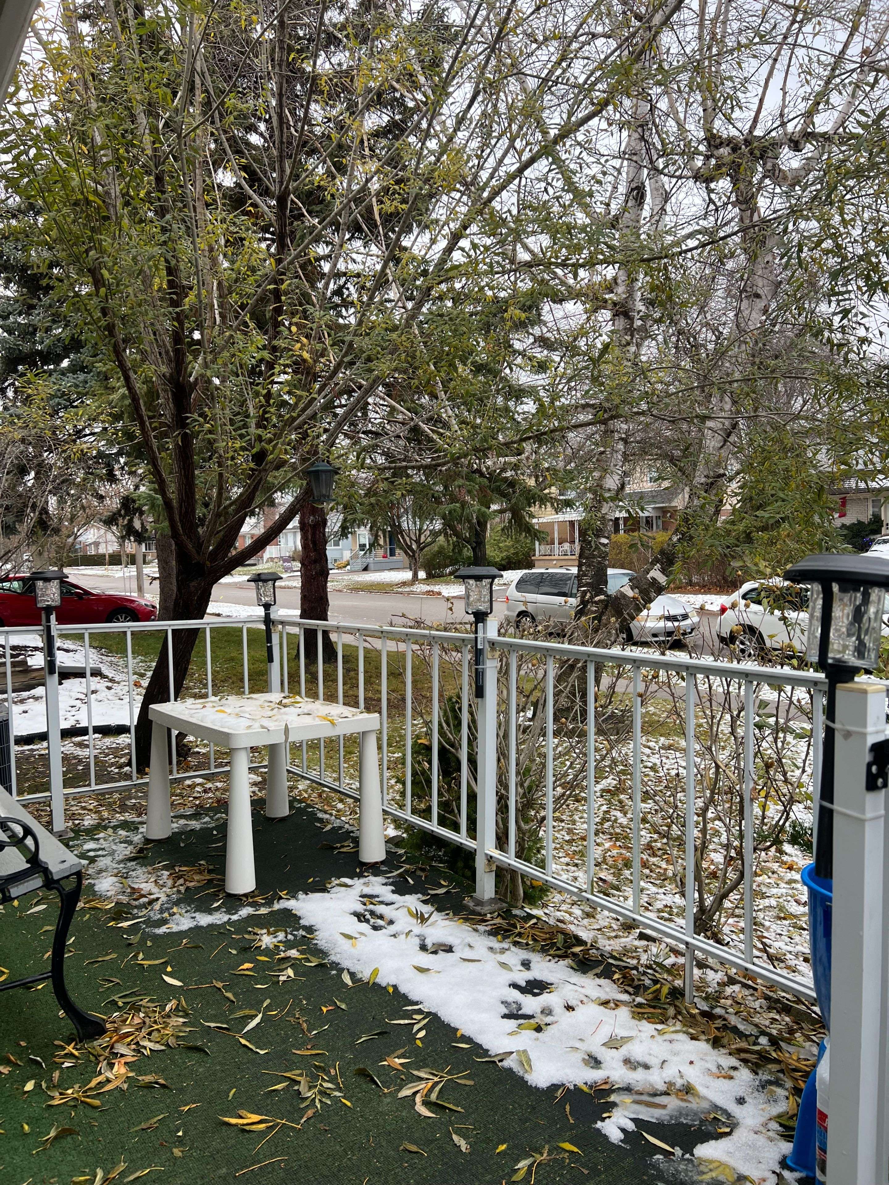 Toronto W10, ON M9W 2B9,14 Tofield CRES #Main/lower bsmt