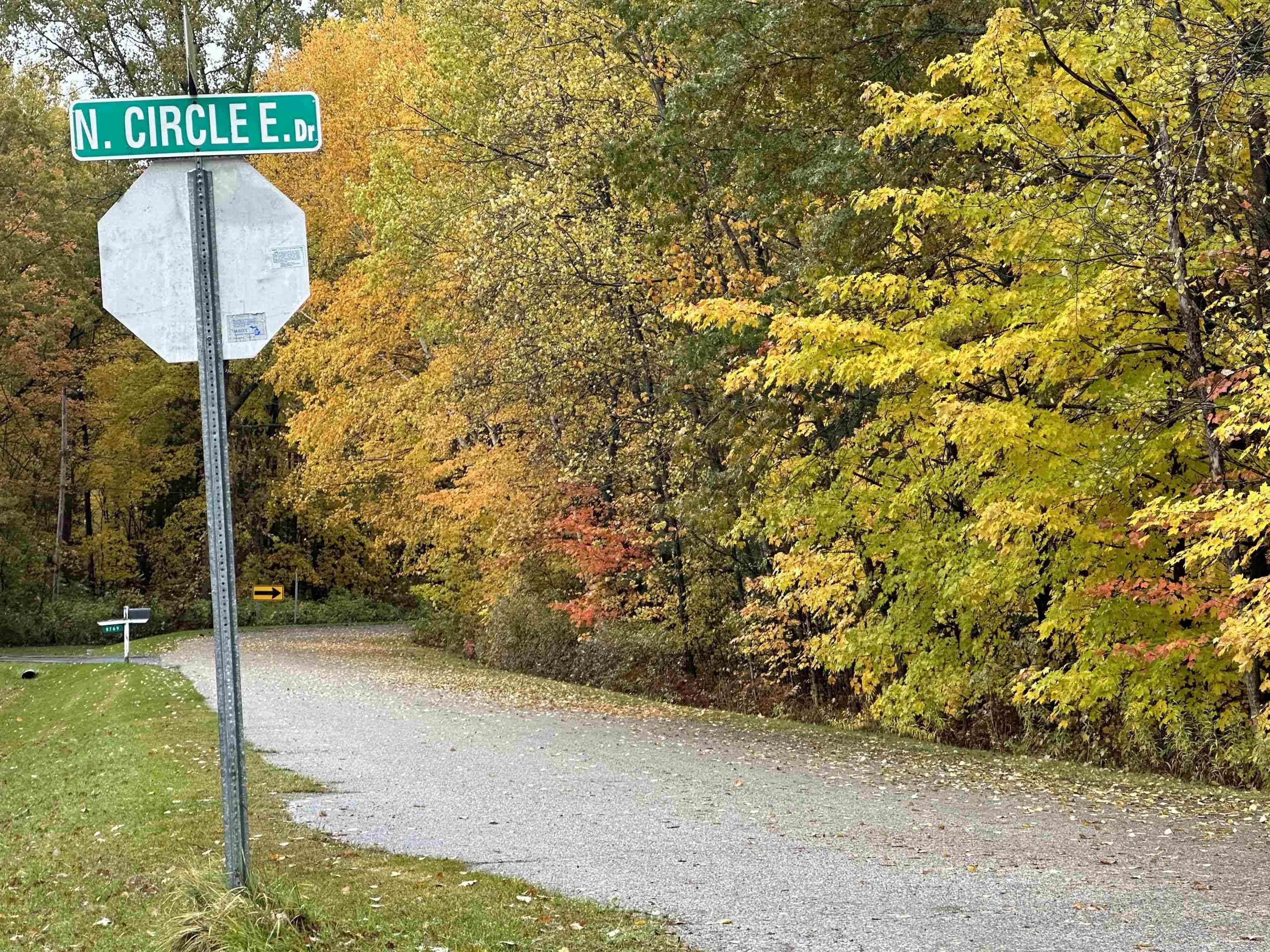 Farwell, MI 48622,Lot #5 N Circle E