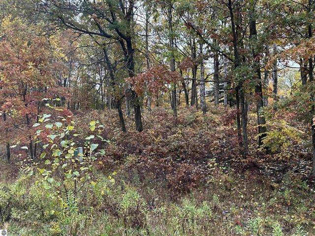 Lot #6 N Circle E, Surrey Twp, MI 48622