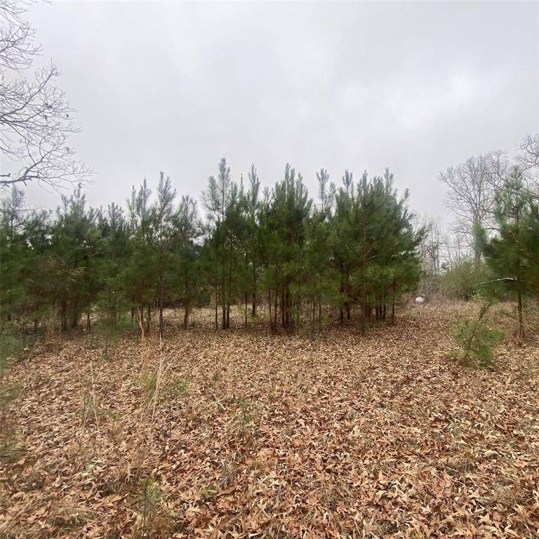 Mansfield, LA 71052,908 WPA Rd