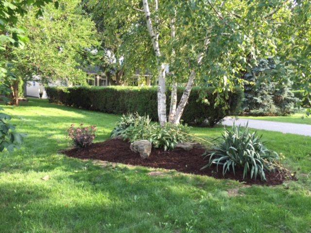 Oakville, ON L6L 1V1,2438 Hixon ST