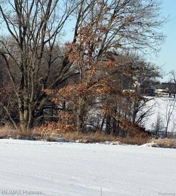Howell, MI 48843,Lot 5 Misty Meadows