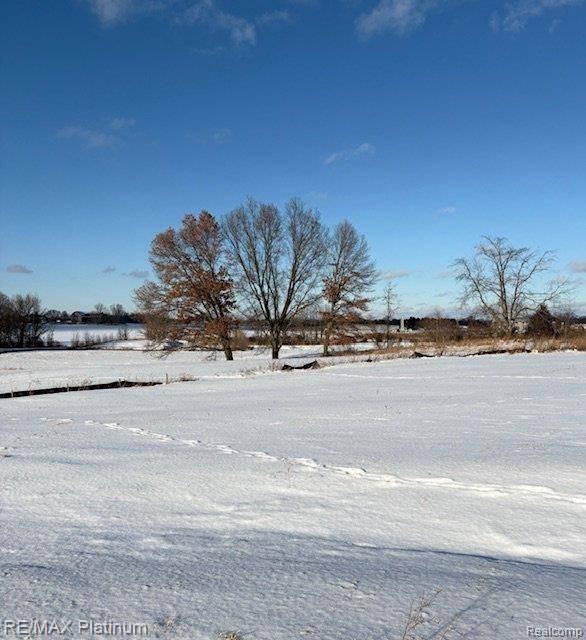 Howell, MI 48843,Lot 5 Misty Meadows