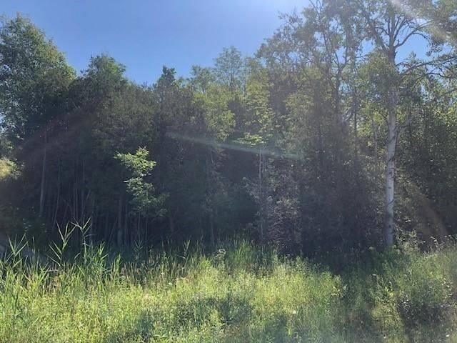 Chatsworth, ON N0H 1G0,Lot 15 Elder LN