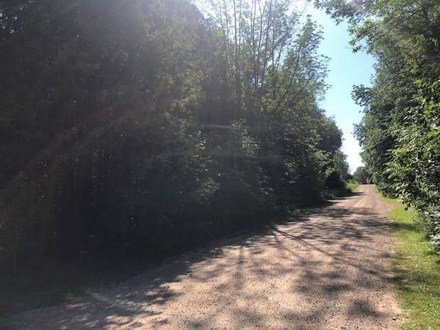 Chatsworth, ON N0H 1G0,Lot 15 Elder LN