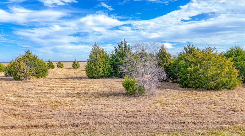 Kerens, TX 75144,Lot 47 Baybridge