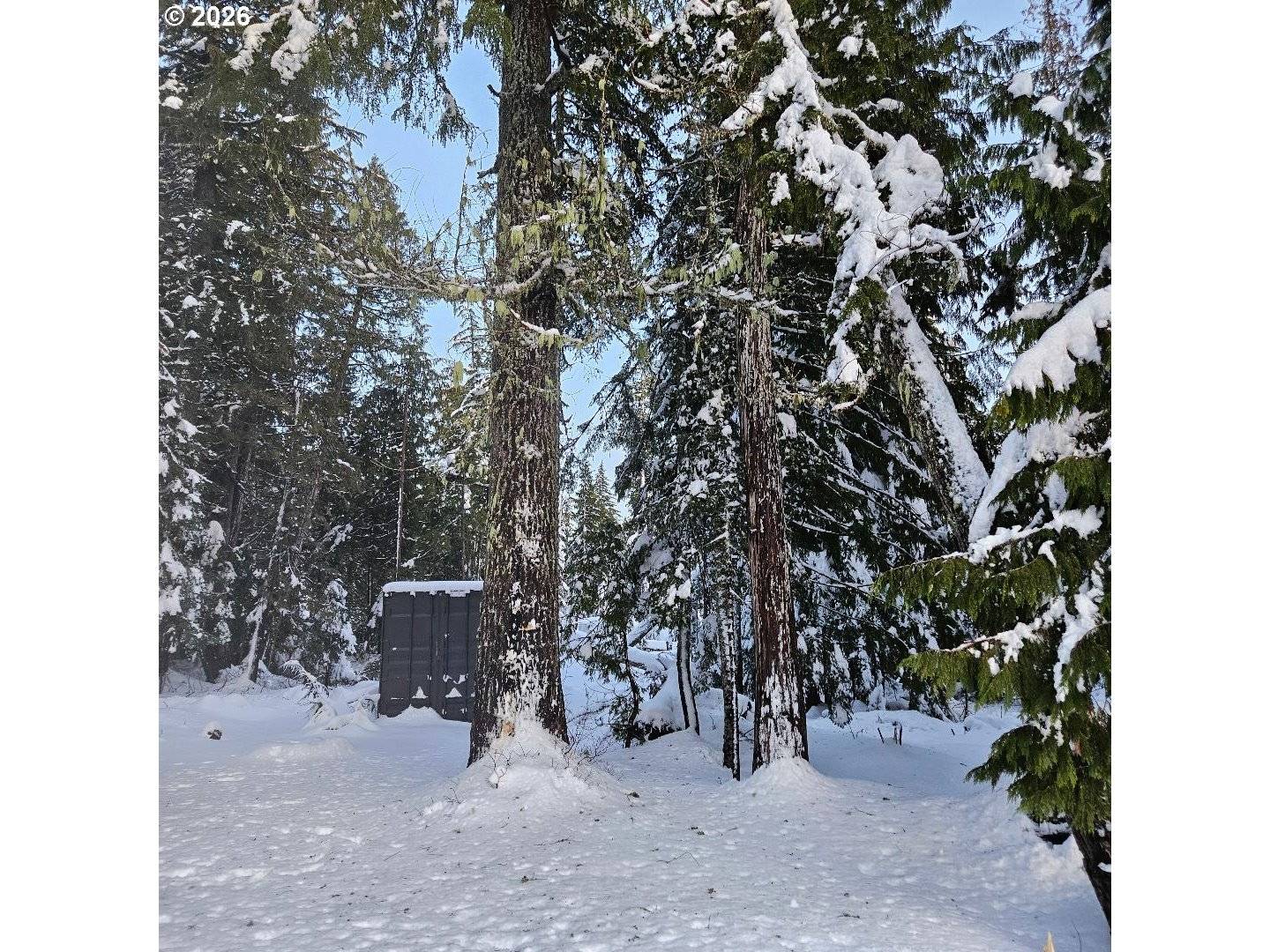 Government Camp, OR 97028,31060 E BERGSTRASSE RD