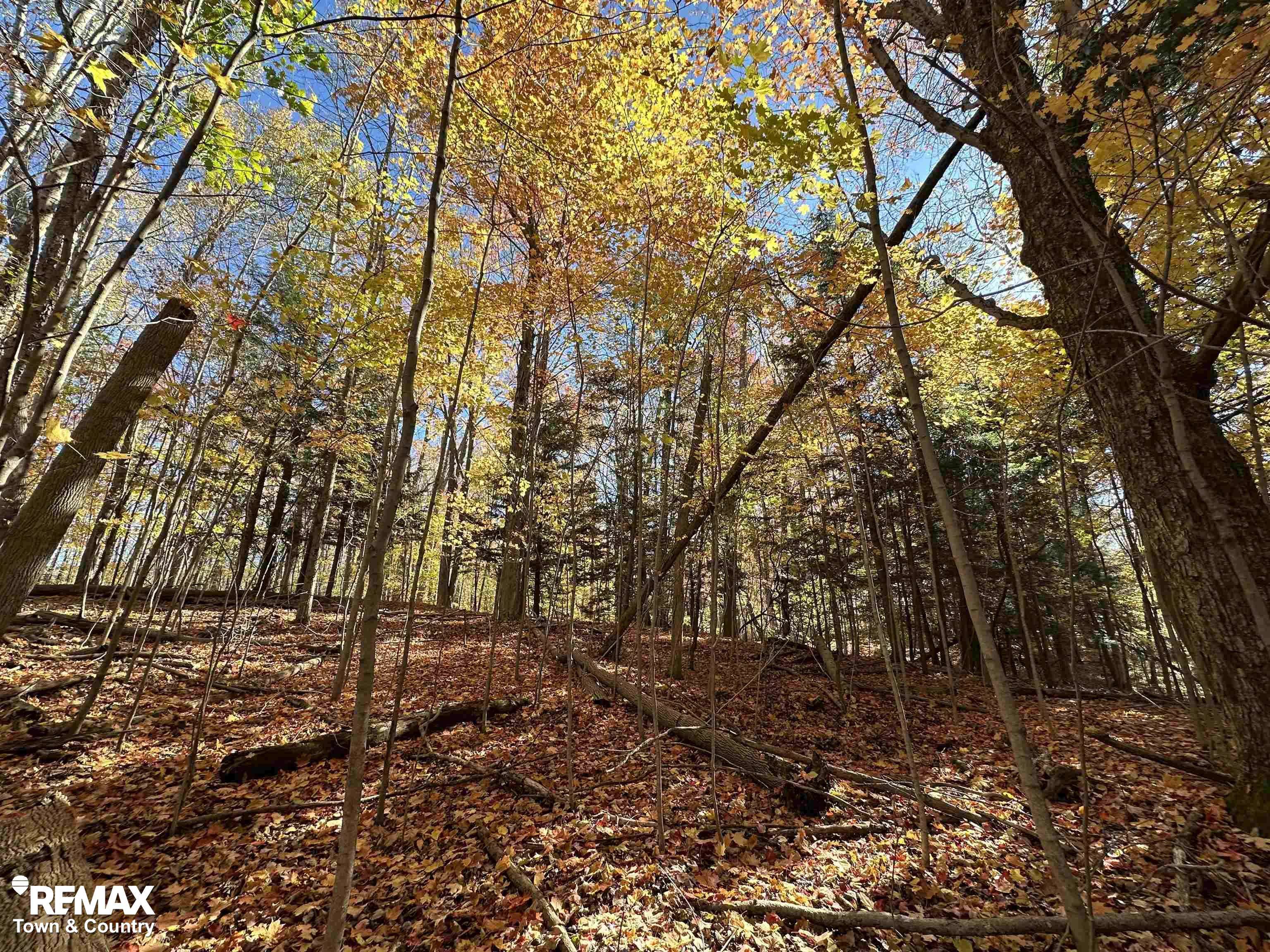 Mayville, MI 48744,3077 Phelps Lake RD