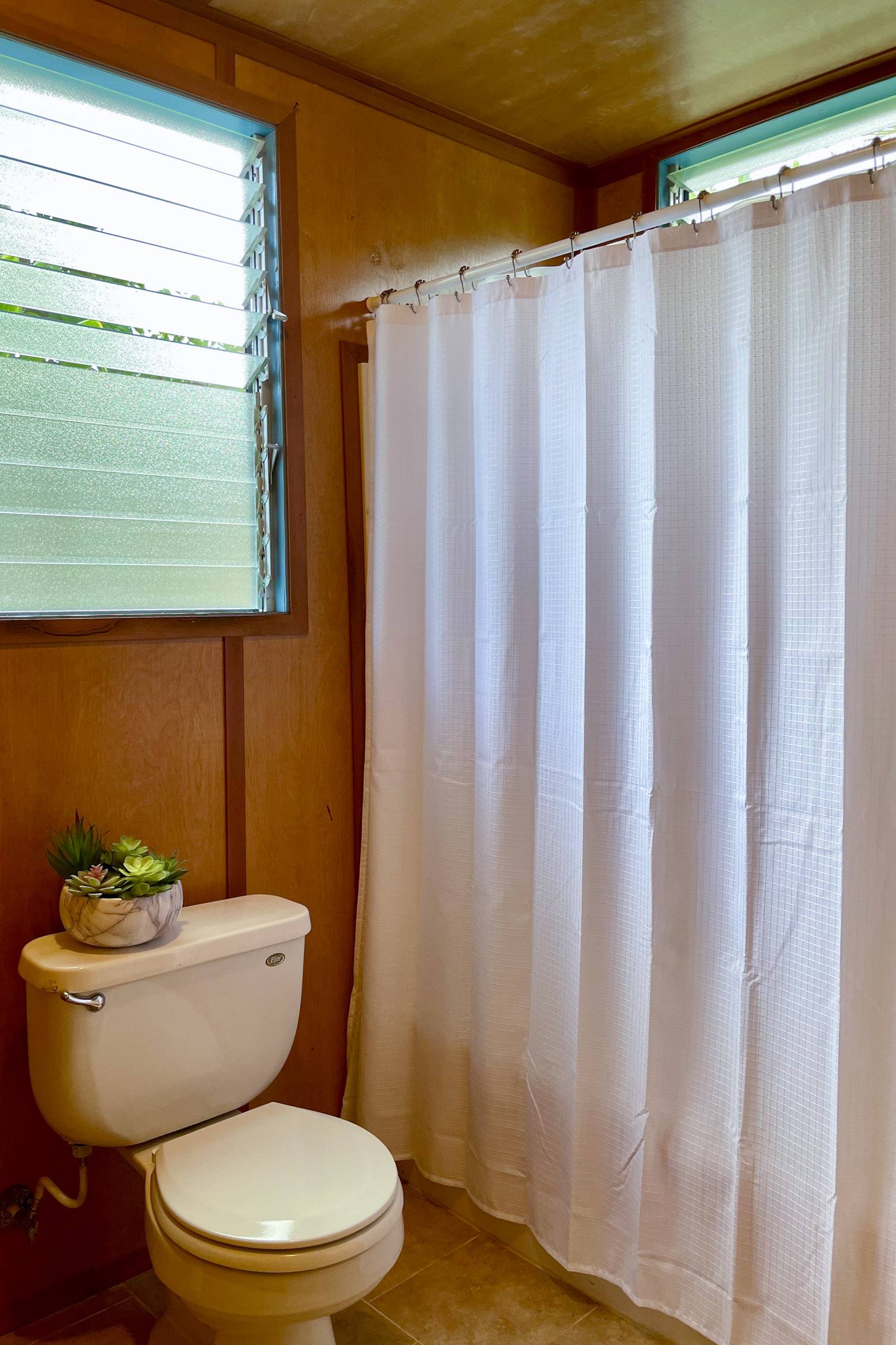 Pahoa, HI 96778,12-7005 HOEUNALU ST