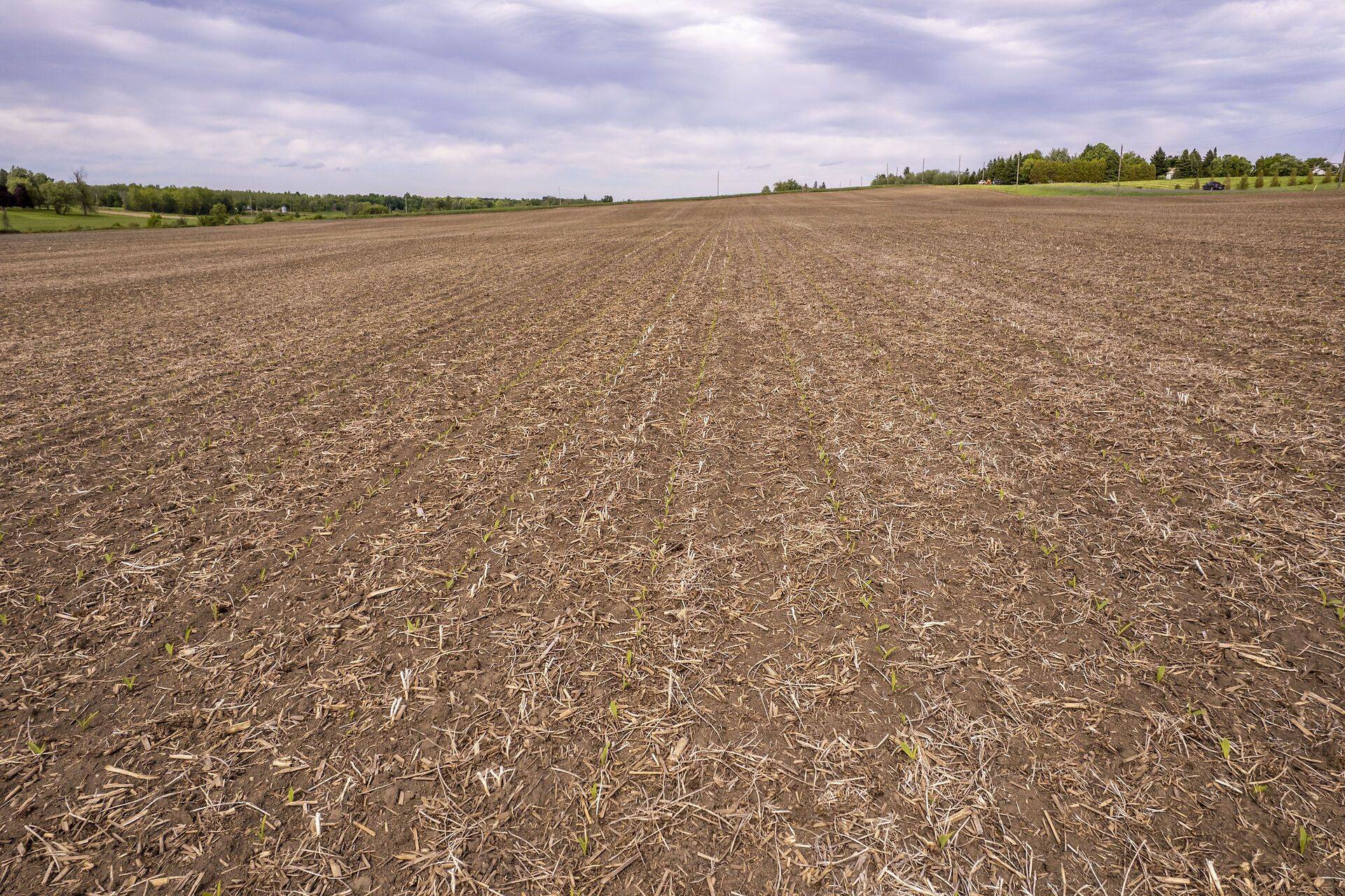 South Glengarry, ON K0C 1B0,19267 County Road 25 N/A