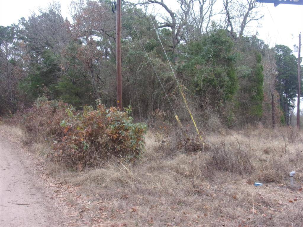 Murchison, TX 75778,000 Briar Valley