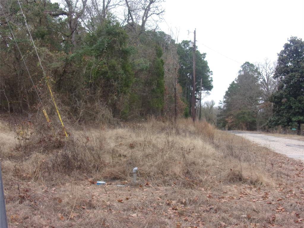 Murchison, TX 75778,000 Briar Valley