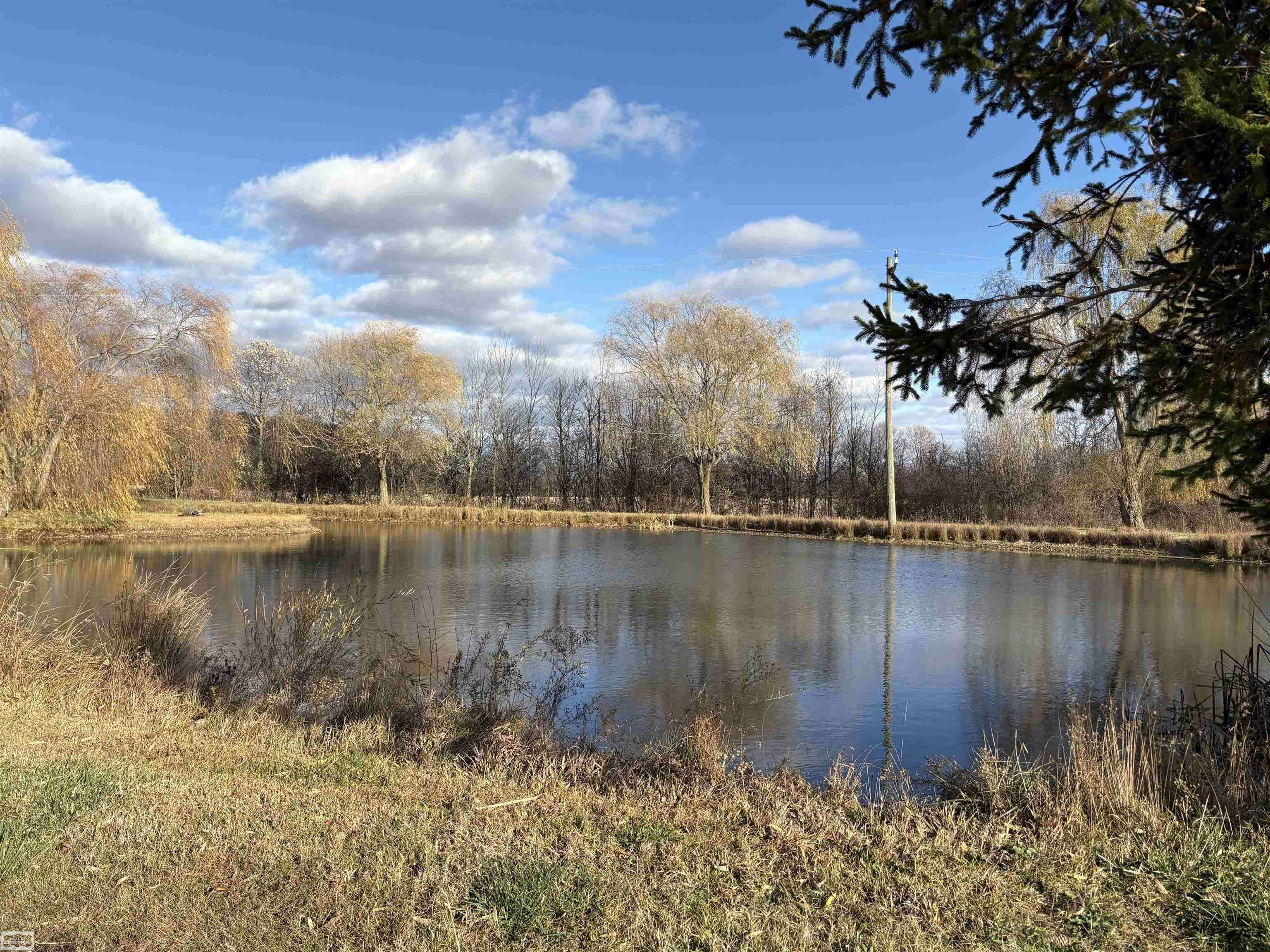 Lynn, MI 48097,14830 Dudley RD