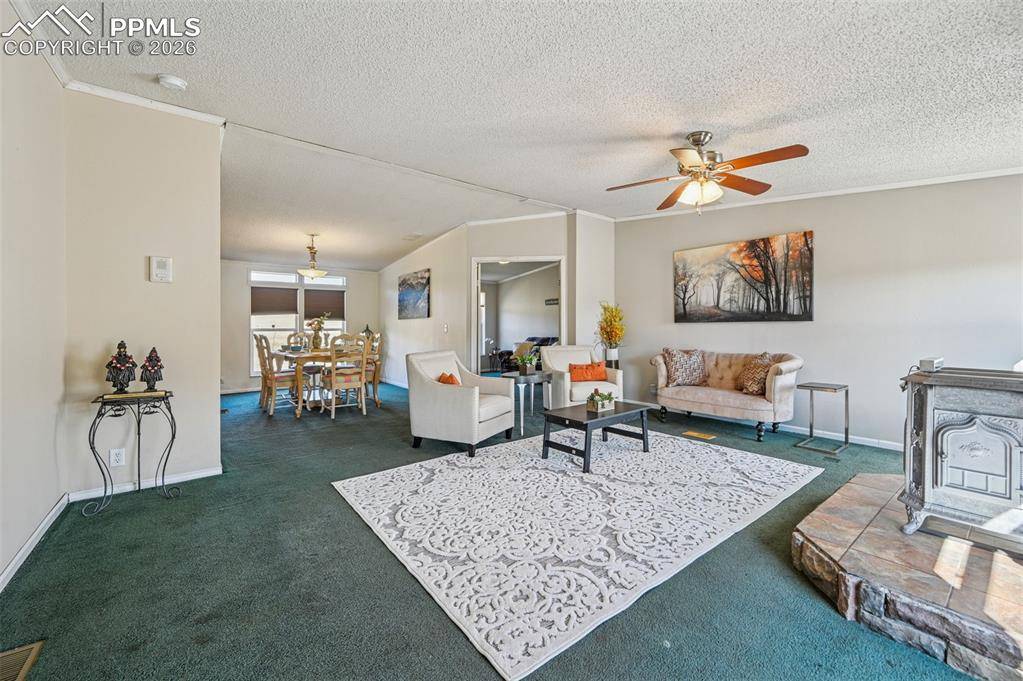 Florissant, CO 80816,966 County Road 411