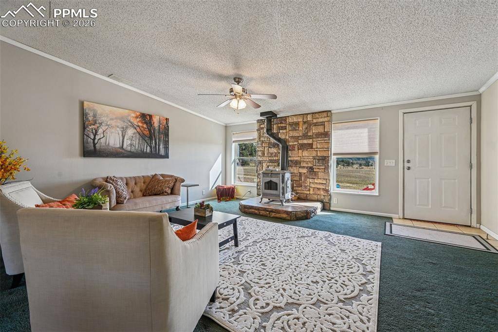 Florissant, CO 80816,966 County Road 411