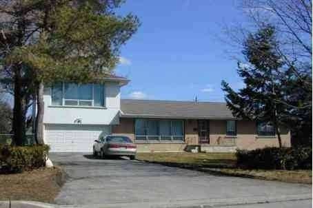 Toronto E05, ON M1W 1A8,95 Fairglen AVE #Main Floor