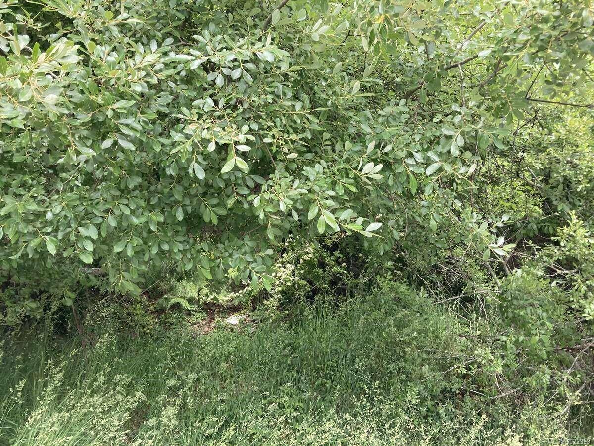 Sooke, BC V9Z 0M5,2364 French Rd