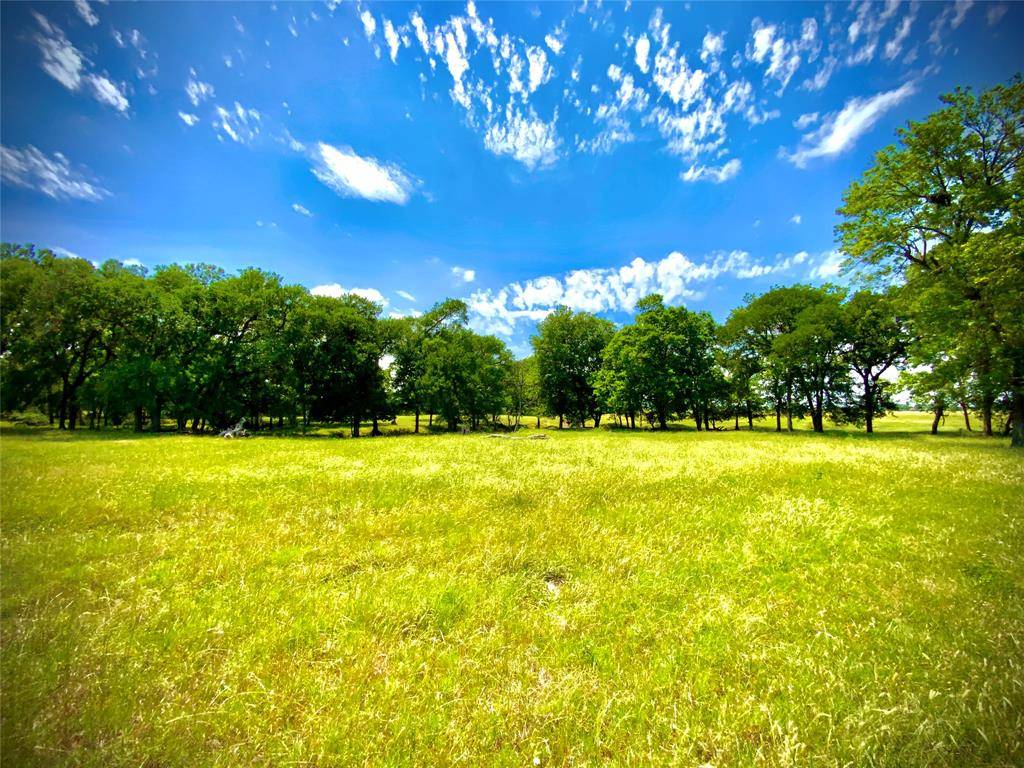 Marlin, TX 76661,TBD- Tract 1 FM 147