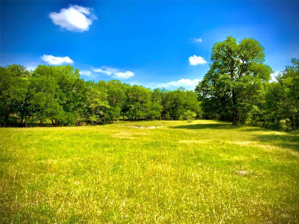 Marlin, TX 76661,TBD- Tract 1 FM 147