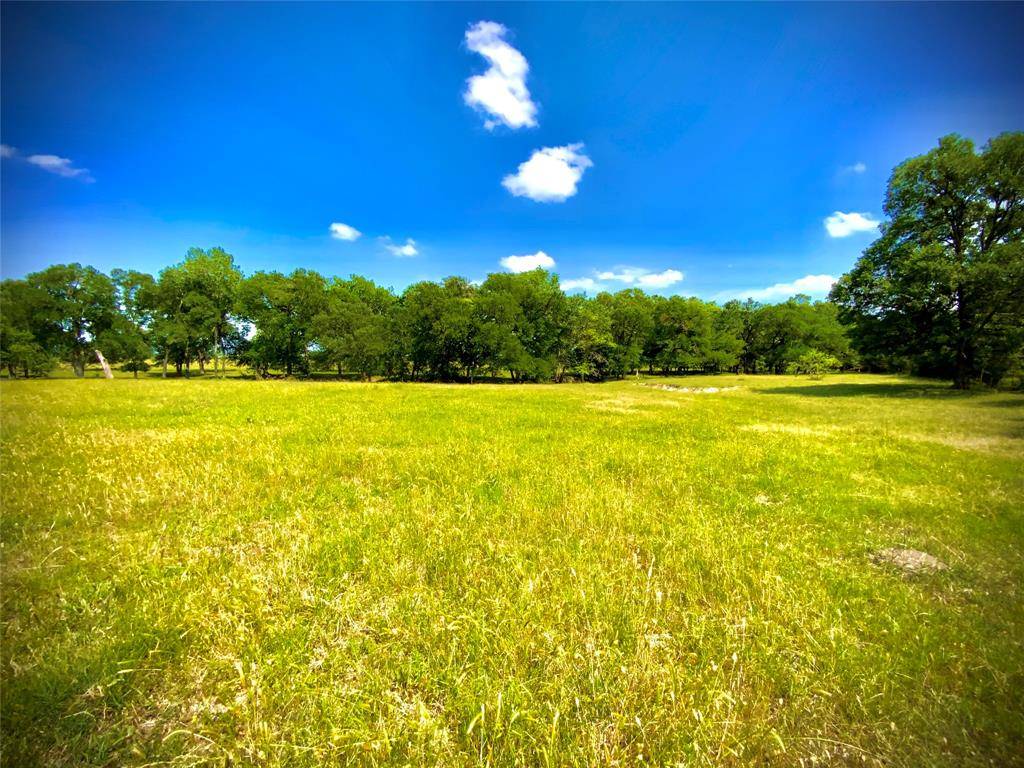 Marlin, TX 76661,TBD- Tract 1 FM 147