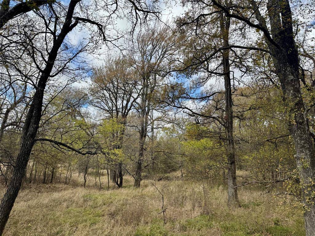 Campbell, TX 75422,5314 County Road 3204