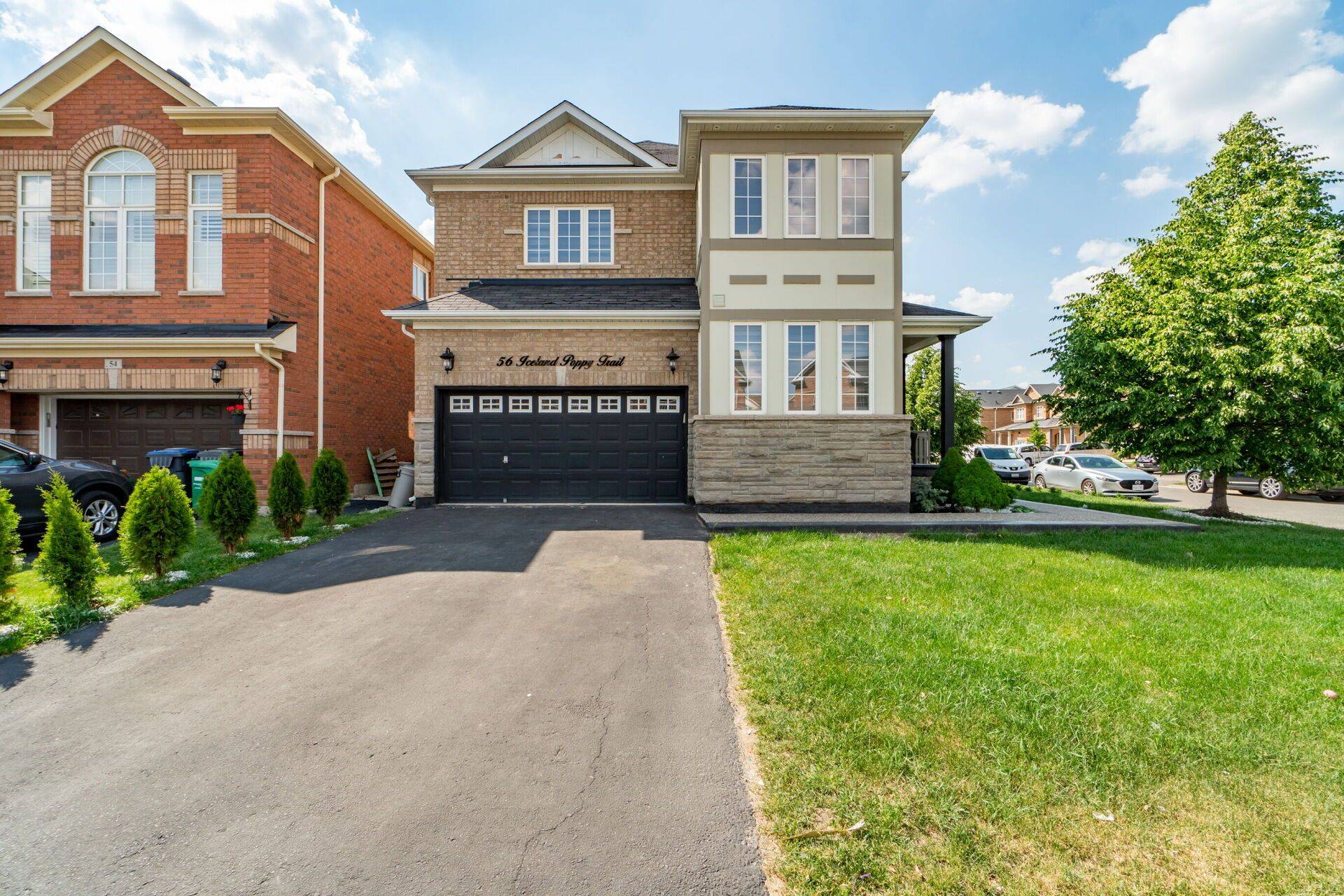 Brampton, ON L7A 0M9,56 Iceland Poppy TRL