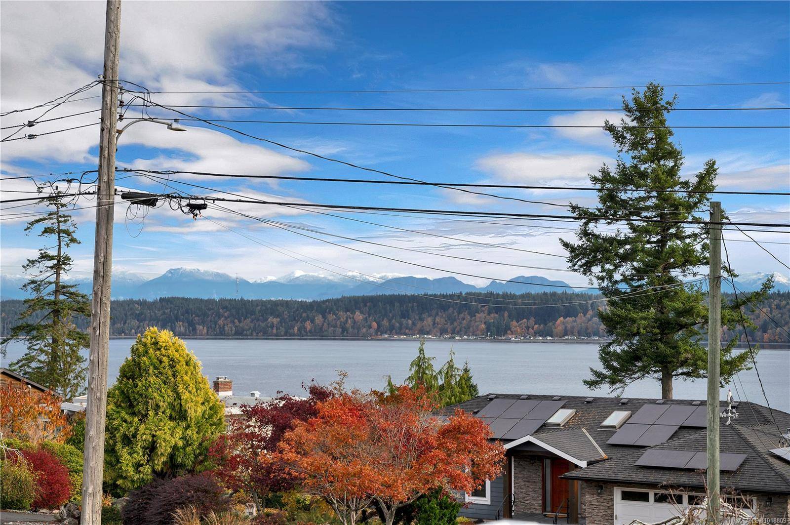 Campbell River, BC V9W 8A7,774 Ash St