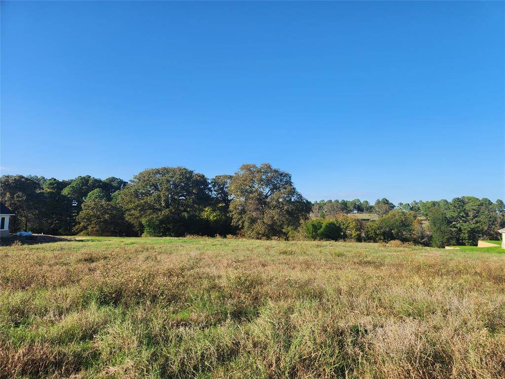 Athens, TX 75752,Lot 155 Lago Vista Drive