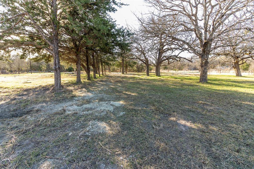 Wills Point, TX 75169,1525 Magnolia Lane