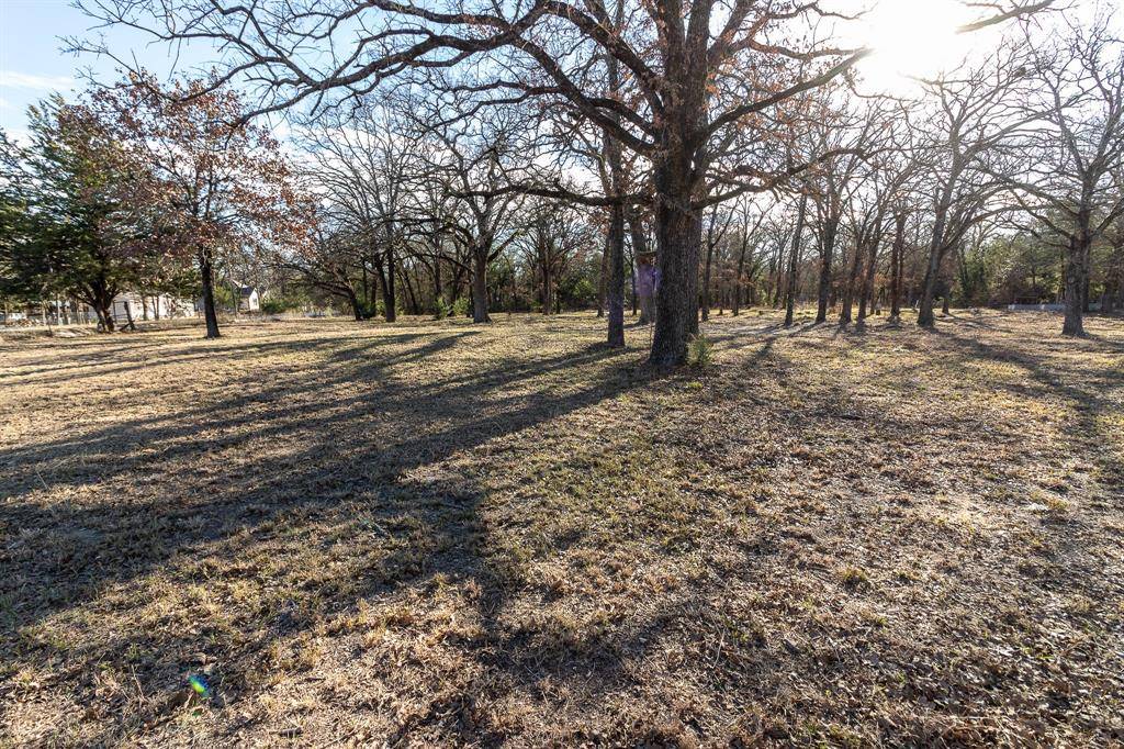 Wills Point, TX 75169,1525 Magnolia Lane