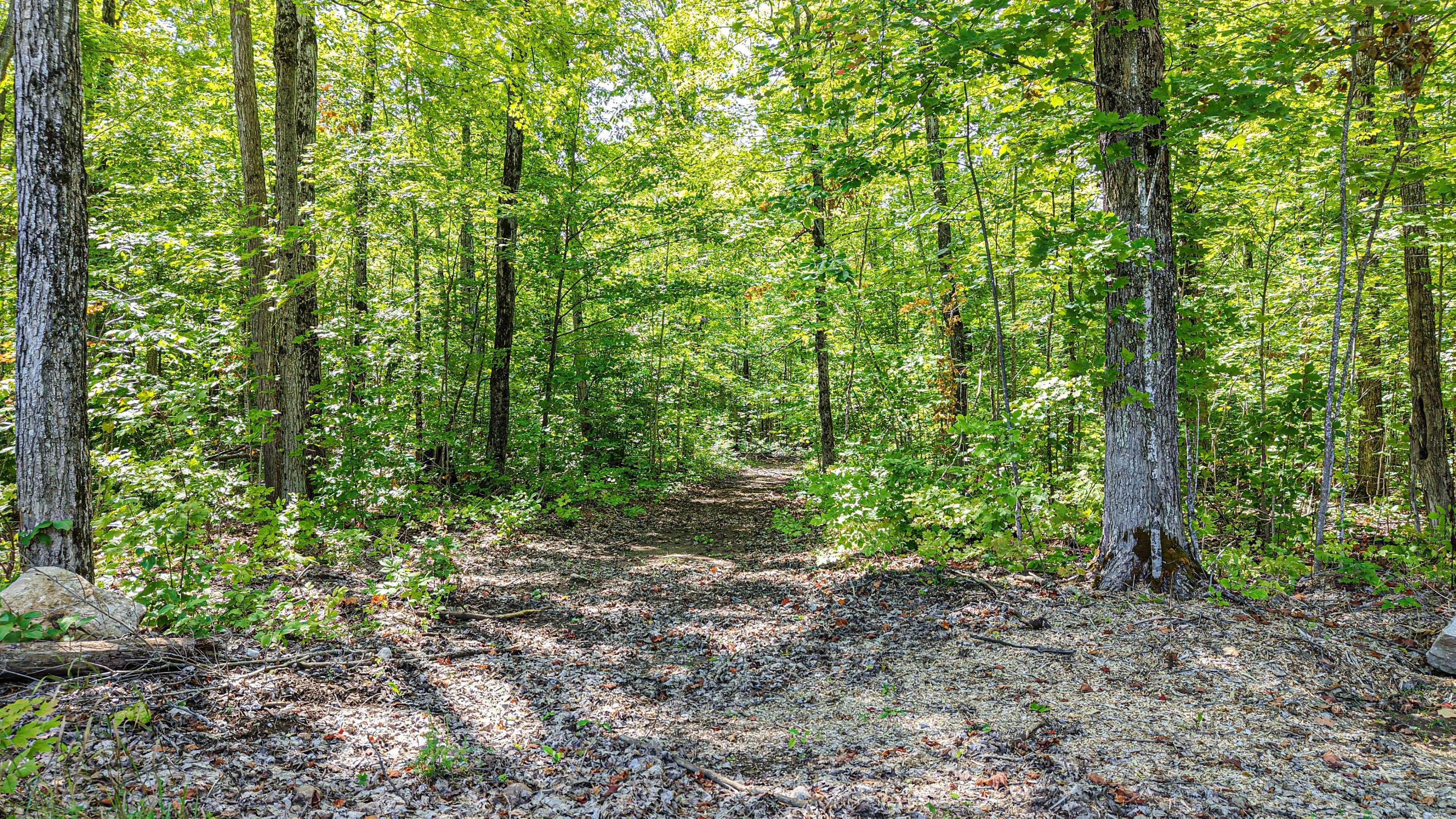 Severn, ON L3V 0Y2,3082 Fairgrounds RD