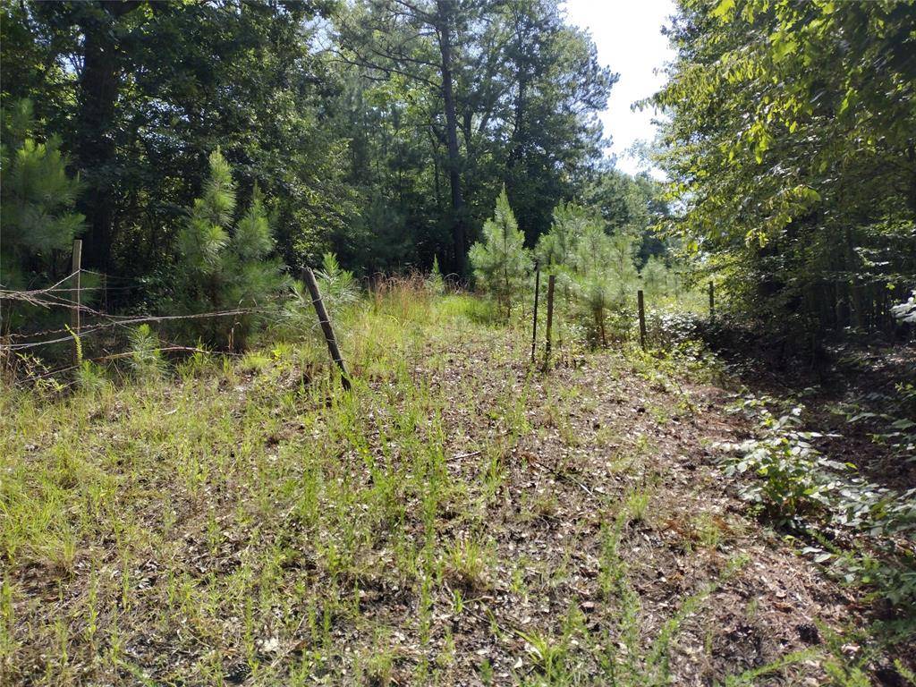 Avinger, TX 75668,TBD Willow Point Marina Road