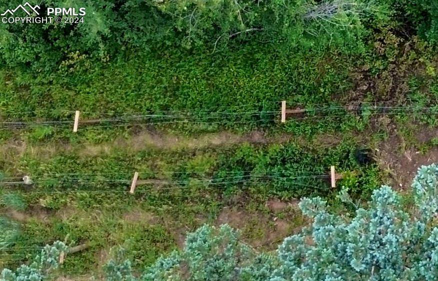 Cascade, CO 80809,Ute RD