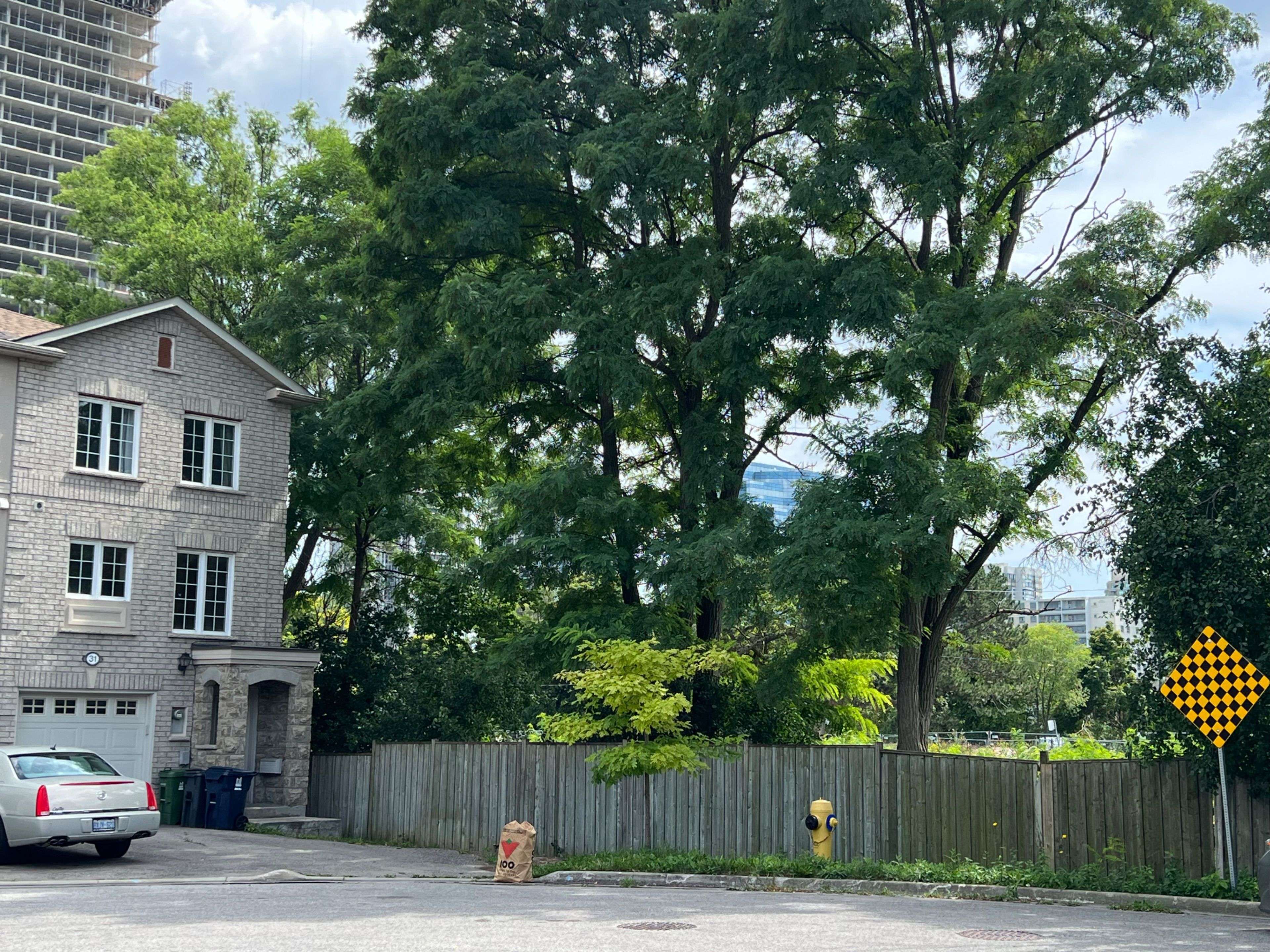 Toronto C07, ON M2M 4M3,31 Rodeo CT