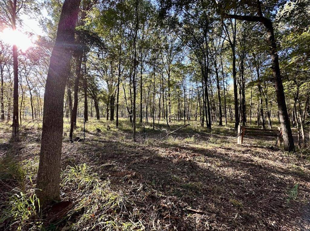 Mount Pleasant, TX 75455,N/A Lot 58 County Road 2938