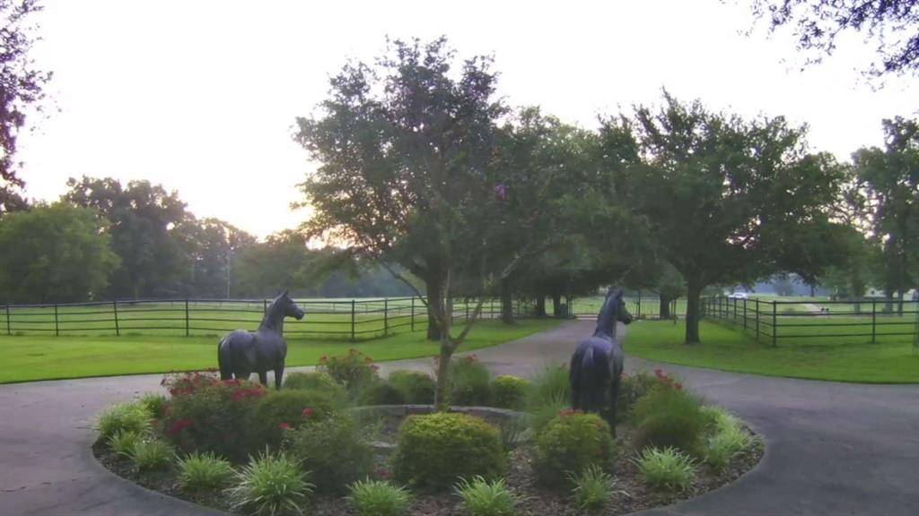 Gilmer, TX 75644,6019 FM 2263