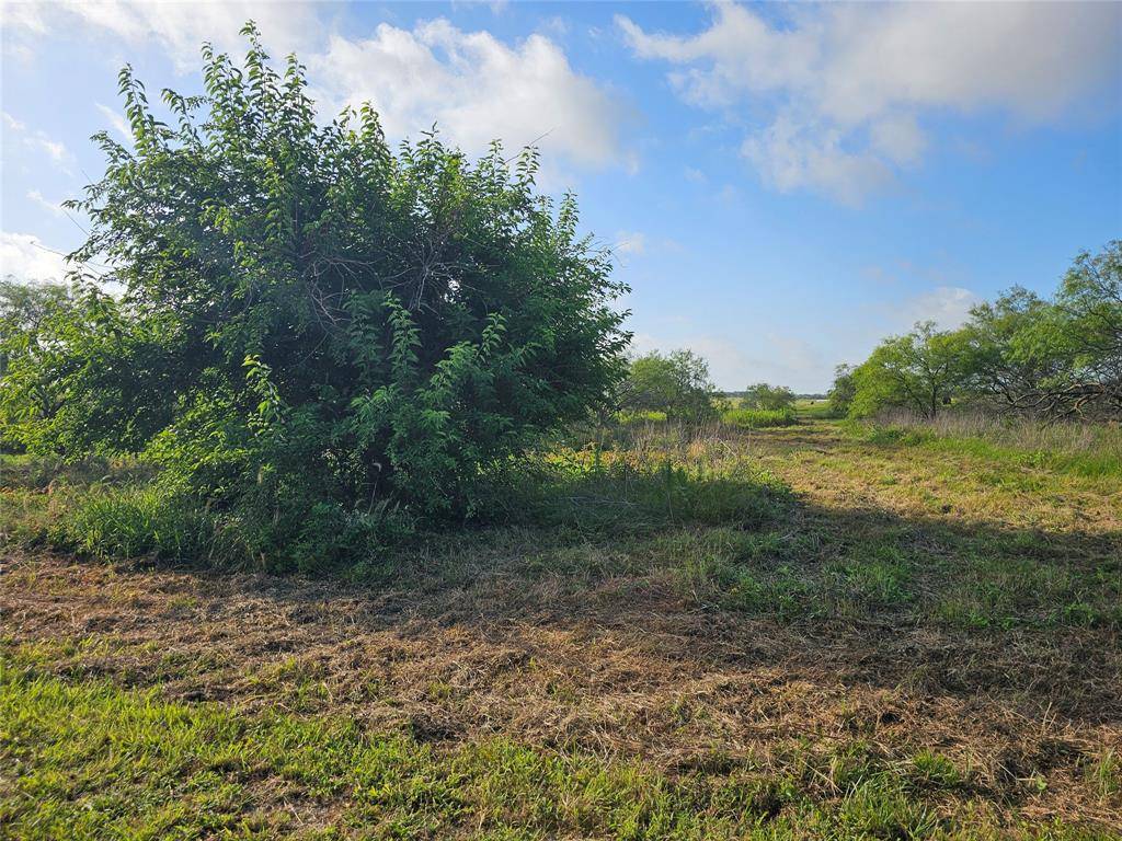Covington, TX 76636,TBD Lot 5 Block 1