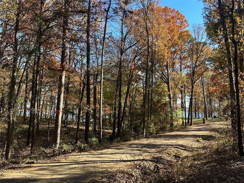 Mount Pleasant, TX 75455,N/A Lot 58 County Road 2938