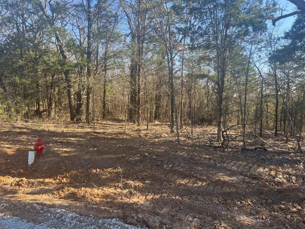 Gordonville, TX 76245,LOT 35 Reflection Bay Boulevard