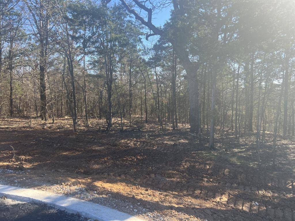 Gordonville, TX 76245,LOT 35 Reflection Bay Boulevard